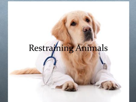 Restraining Animals. More is NOT Better O Use the LEAST amount of restraint that is needed O Dogs can be stubborn and won't give up O The more you try.