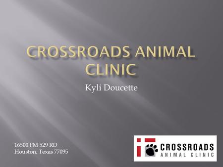 Kyli Doucette 16500 FM 529 RD Houston, Texas 77095.