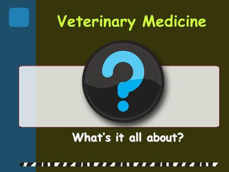Veterinary Medicine What’s it all about?.