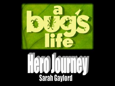 Hero Journey Sarah Gaylord.
