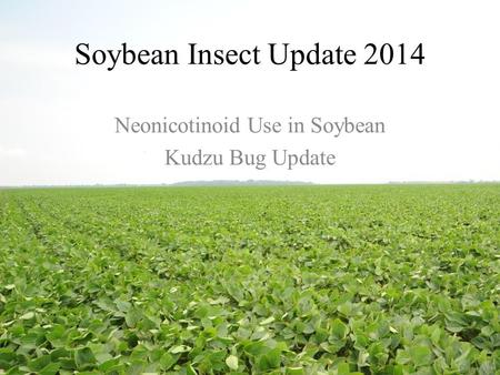 Soybean Insect Update 2014 Neonicotinoid Use in Soybean Kudzu Bug Update.