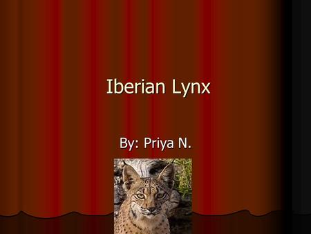 Iberian Lynx Iberian Lynx By: Priya N.. Introduction As we all know, many human activities are destroying the Earth’s atmosphere now and then. These activities.