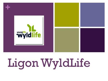 + Ligon WyldLife. + What is WyldLife? WyldLife is simple. Our desire is to serve, mentor, and love on middle school students, their families and Ligon.
