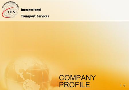 COMPANY PROFILE 1 TABLE OF CONTENTS Introduction Mission History Team Services Advantages Contacts Useful links 2.