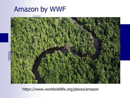 Amazon by WWF https://www.worldwildlife.org/places/amazon.