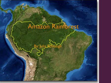 Amazon Rainforest By: Julia Schlough. General Stuff Rainforests once covered 14% of earth’s surface, now they cover only 6% Experts estimate that the.