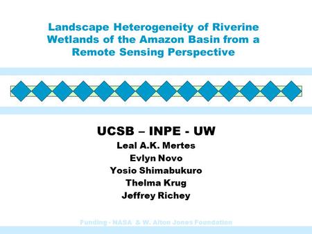 Landscape Heterogeneity of Riverine Wetlands of the Amazon Basin from a Remote Sensing Perspective UCSB – INPE - UW Leal A.K. Mertes Evlyn Novo Yosio Shimabukuro.
