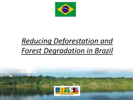 Reducing Deforestation and Forest Degradation in Brazil.