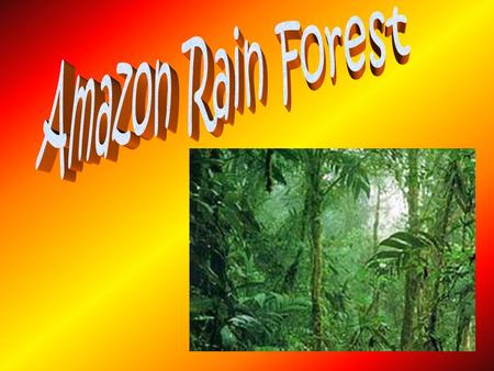 Amazon Rain Forest.