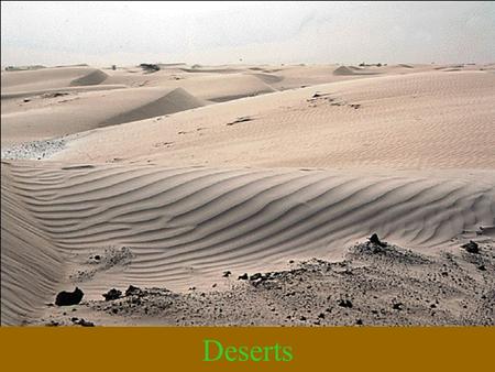 Deserts.