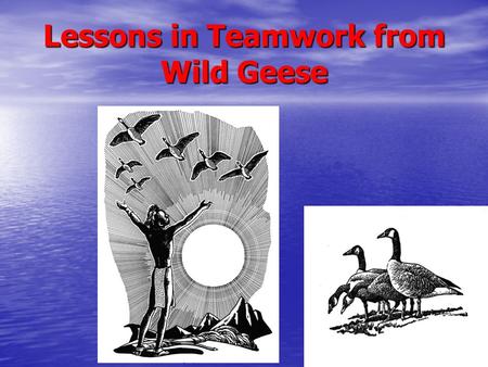 Lessons in Teamwork from Wild Geese. 1. As each goose flaps its wings, it creates uplift for the birds that follow. By flying in a “V” formation, the.