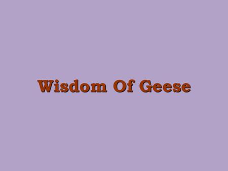 Wisdom Of Geese.