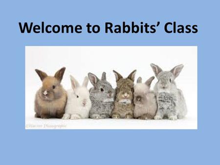 Welcome to Rabbits’ Class. What will a day be like for my child in Year 1? 8:55 – Miss Phillips will collect Rabbits from the playground. 9:00 – Register.