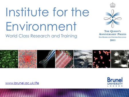 Institute for the Environment World Class Research and Training www.brunel.ac.uk/ife.
