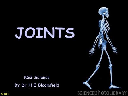 JOINTS KS3 Science By Dr H E Bloomfield © HEB.