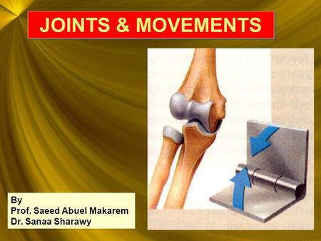 JOINTS & MOVEMENTS By Prof. Saeed Abuel Makarem Dr. Sanaa Sharawy.