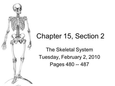 The Skeletal System Tuesday, February 2, 2010 Pages