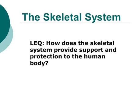 The Skeletal System LEQ: How does the skeletal system provide support and protection to the human body?