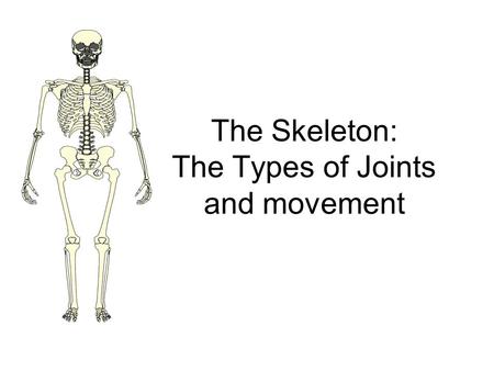The Skeleton: The Types of Joints and movement