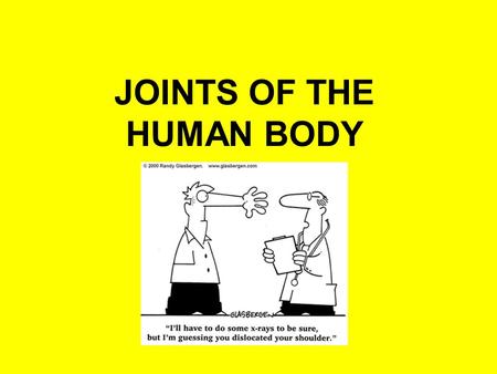 JOINTS OF THE HUMAN BODY