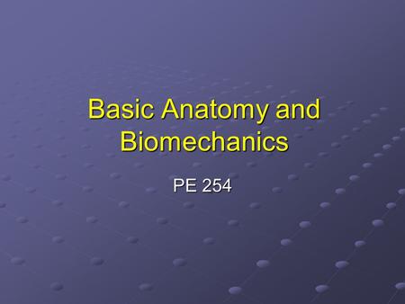 Basic Anatomy and Biomechanics PE 254. Functions of the Musculoskeletal System Gives the body shape Gives the body shape Protects internal organs Protects.