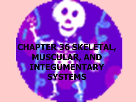 CHAPTER 36 SKELETAL, MUSCULAR, AND INTEGUMENTARY SYSTEMS