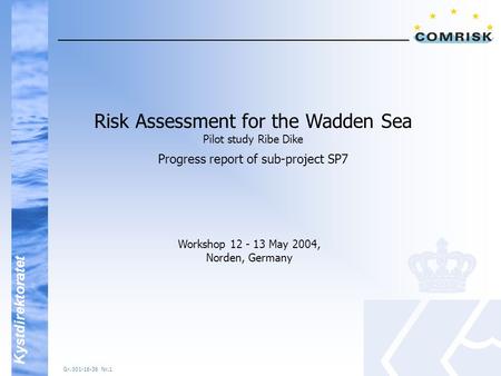 Kystdirektoratet Gr. 001-16-36 Nr.1 Risk Assessment for the Wadden Sea Pilot study Ribe Dike Progress report of sub-project SP7 Workshop 12 - 13 May 2004,