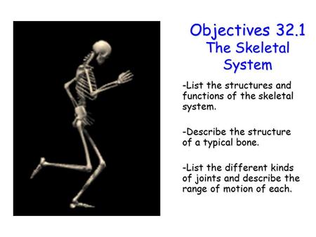 Objectives 32.1 The Skeletal System