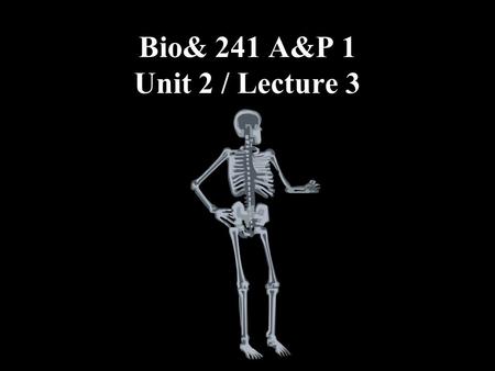 Bio& 241 A&P 1 Unit 2 / Lecture 3. Functional classification of joints (based on degree of movement permitted within the joint) Synarthrosis: Immovable.