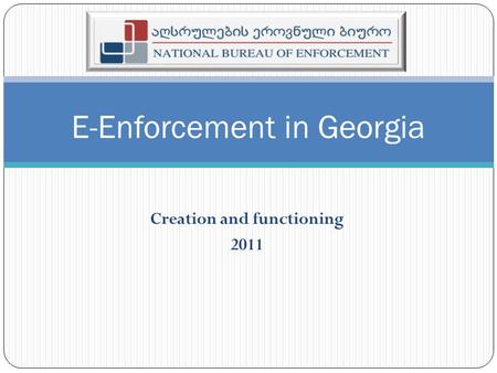 Creation and functioning 2011 E-Enforcement in Georgia.
