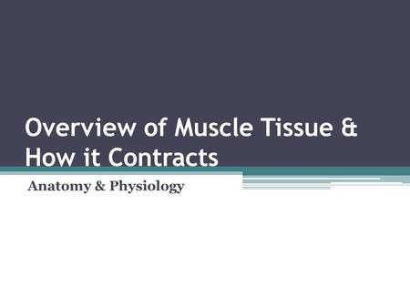 Overview of Muscle Tissue & How it Contracts Anatomy & Physiology.