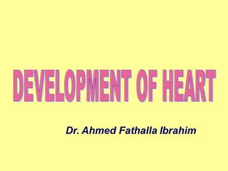 Dr. Ahmed Fathalla Ibrahim. EARLY DEVELOPMENT OF HEART in cardiogenic areaSplanchnic mesenchymal cells aggregate in cardiogenic area to form two angioblastic.