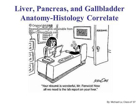 Liver, Pancreas, and Gallbladder Anatomy-Histology Correlate