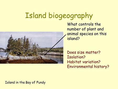 Island biogeography Island in the Bay of Fundy What controls the number of plant and animal species on this island? Does size matter? Isolation? Habitat.
