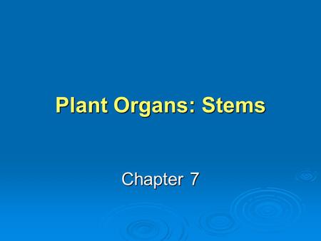 Plant Organs: Stems Chapter 7.