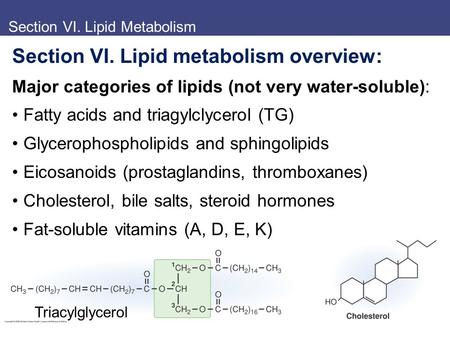 Section VI. Lipid Metabolism