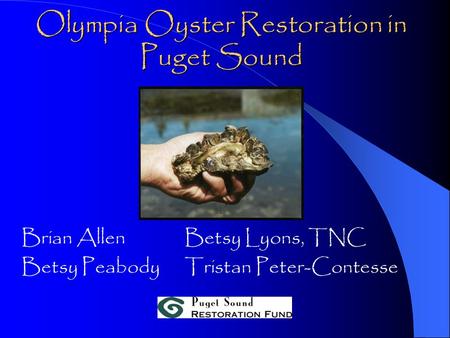 Olympia Oyster Restoration in Puget Sound Brian AllenBetsy Lyons, TNC Betsy PeabodyTristan Peter-Contesse.