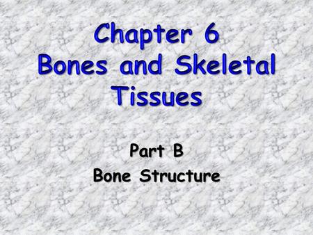 Part B Bone Structure. Bones Bones are organs!Bones are organs! –Contains various types of tissues Osseous tissue (dominates) Nervous tissue Cartilage.