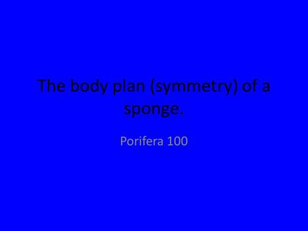 The body plan (symmetry) of a sponge. Porifera 100.