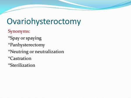 Ovariohysteroctomy Synonyms: *Spay or spaying *Panhysterectomy *Neutring or neutralization *Castration *Sterilization.