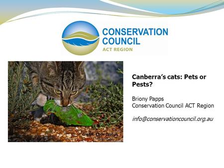 Canberra’s cats: Pets or Pests? Briony Papps Conservation Council ACT Region
