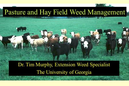 Pasture and Hay Field Weed Management Dr. Tim Murphy, Extension Weed Specialist The University of Georgia.