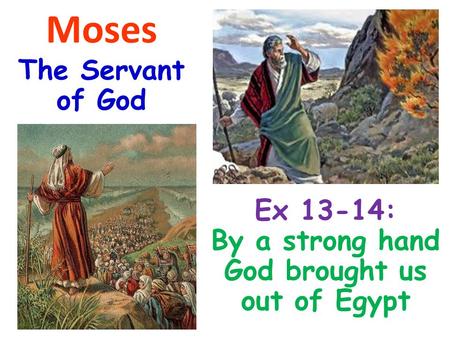 Moses The Servant of God Ex 13-14: By a strong hand God brought us out of Egypt.