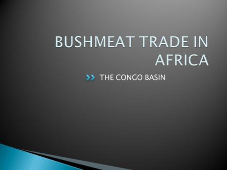THE CONGO BASIN. In Africa, forest is often referred to as 'the bush', thus wildlife and the meat derived from it is referred to as 'bushmeat'. What is.