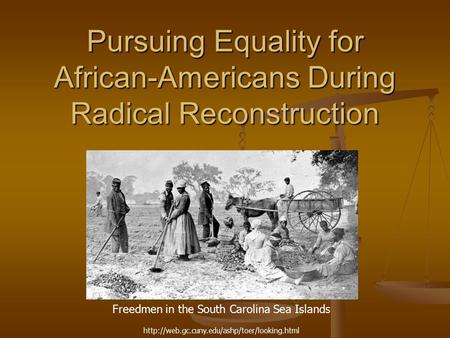 Pursuing Equality for African-Americans During Radical Reconstruction Freedmen in the South Carolina Sea Islands