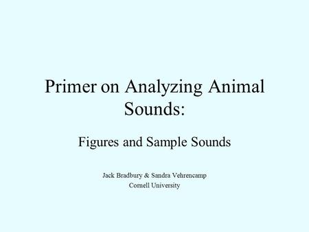 Primer on Analyzing Animal Sounds: