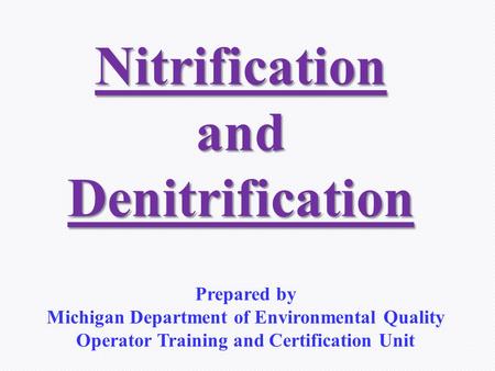 Nitrification and Denitrification