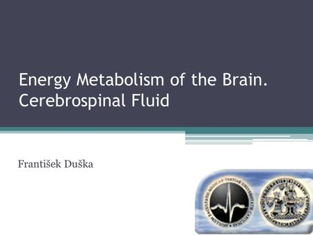 Energy Metabolism of the Brain. Cerebrospinal Fluid