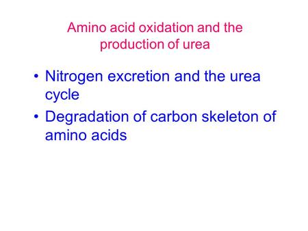 chem 454 case study 2 amino acid overload