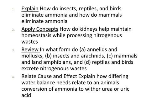 Explain How do insects, reptiles, and birds eliminate ammonia and how do mammals eliminate ammonia Apply Concepts How do kidneys help maintain homeostasis.